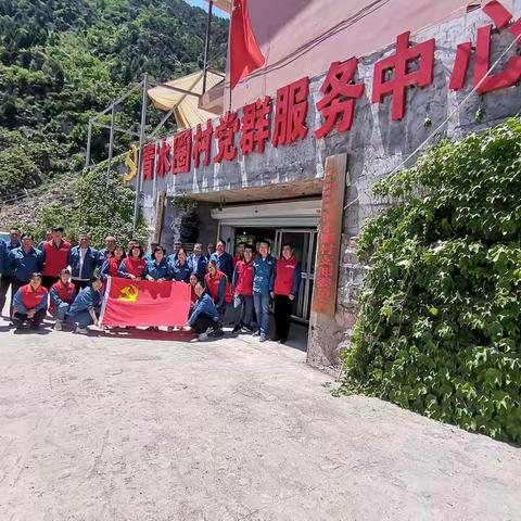 国家电网历城供电公司彩虹共产党员服务队走进清水圈村开展志愿服务活动
