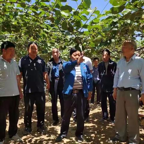 源味南山清水圈富硒猕猴桃产业升级研讨会顺利召开