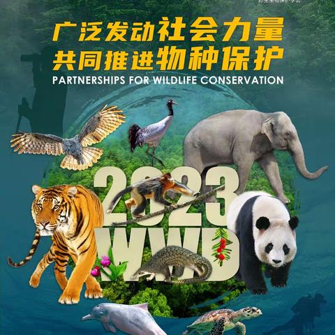 “广泛发动社会力量，共同推进物种保护”参与世界野生动植物日——武汉市常青树实验学校