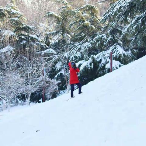 2020年第一场雪