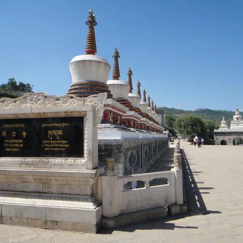 沿青藏线走马观花