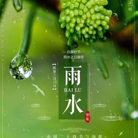 雨水节气、童趣盎然 —中新幼儿园雨水节气活动