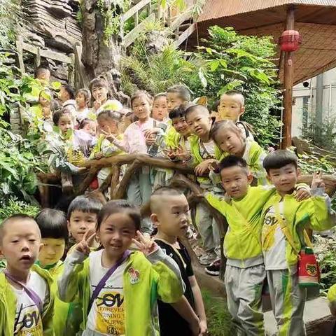 又是一年丰收季——五原县实验幼儿园苹果一班采摘活动