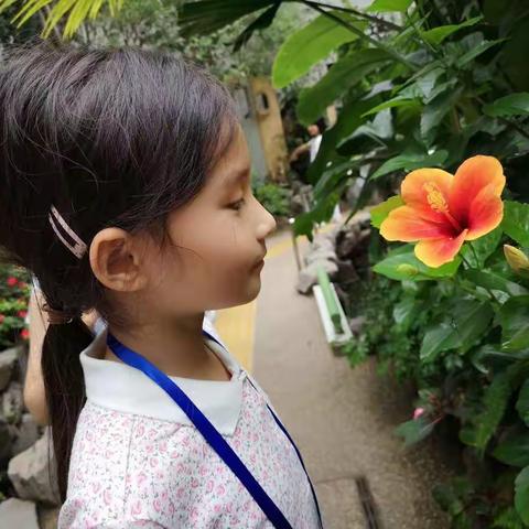 暮然回首的美篇