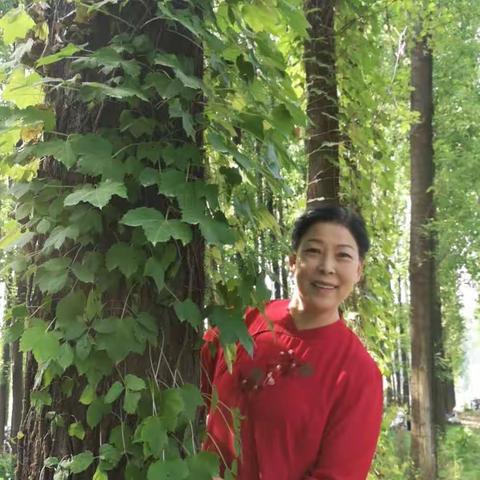 忙碌是可以冲淡许多复杂的情绪。在忙碌中也要给自己留点愉快的生活，眼睛是会遗忘东西的，所以就用相机来记录。