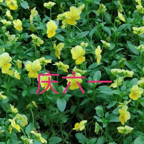 暮然回首的美篇