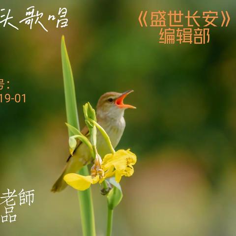 《盛世长安》入选作品！