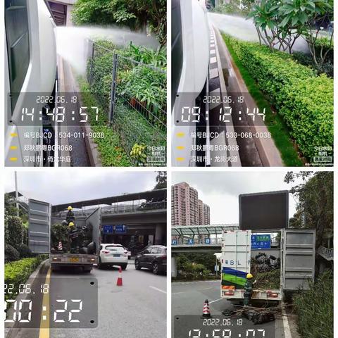 深圳布吉城市管家项目园林绿化管养部工作简报（20220618）
