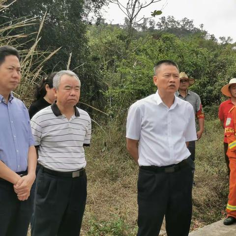 海口市2020年清明节期间森林防灭火工作纪实（4月3日）