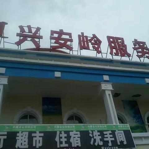 一路向北欣赏林区美景