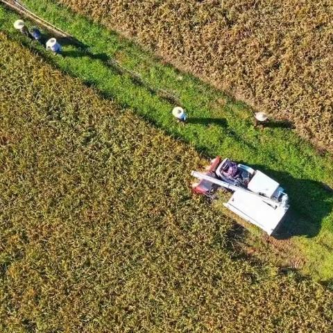 总行专门听取广东分行关于农批市场                金融服务工作汇报