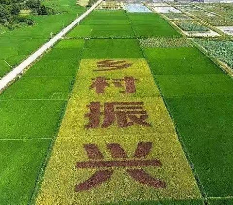 【乡村振兴·粤有建术〔2021〕第16期