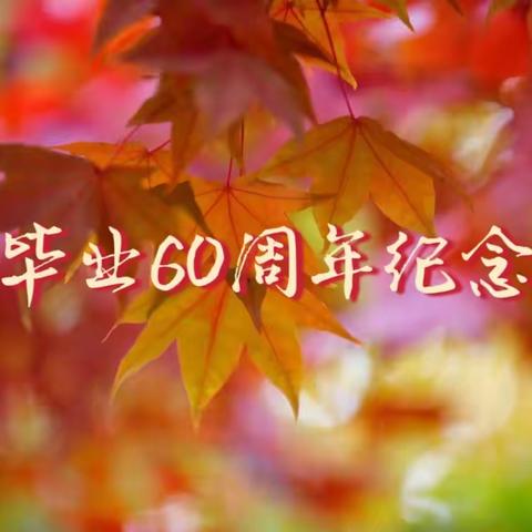 毕业60周年纪念