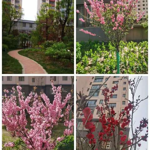 心桥物业紫玉润园客户服务中心四月份工作简报