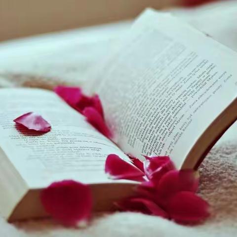 静思、一夜的美篇