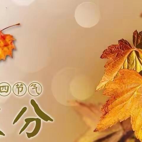 秋分至🍁秋意浓（大五班）