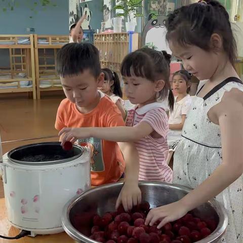 夏日“杨”光，遇见“梅”好