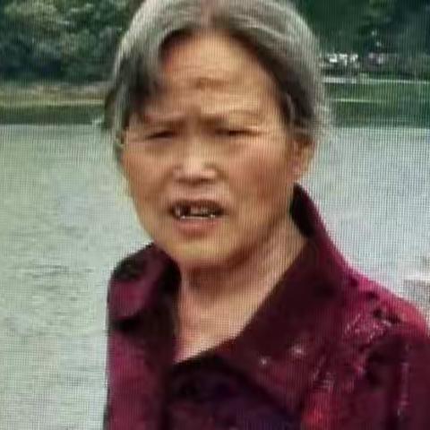 与母亲相依为命的日子