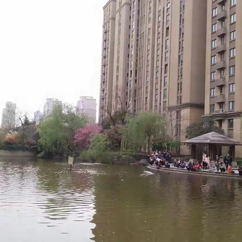 宅家偶得