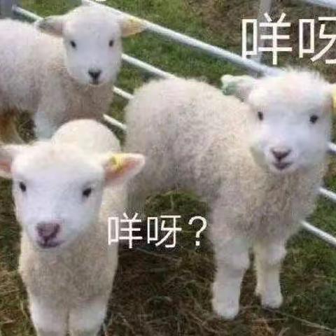 啊朋友，你阳了吗