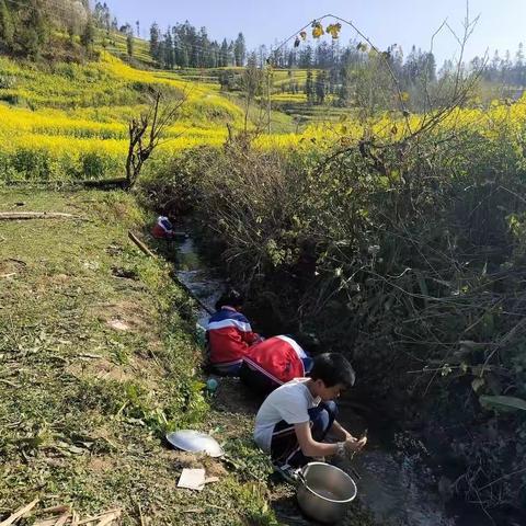 亲近自然，享受春天