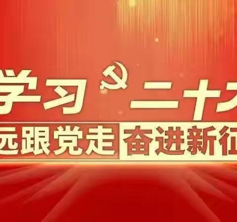 学习二十大  争做好队员—记定安县第三小学主题班会活动