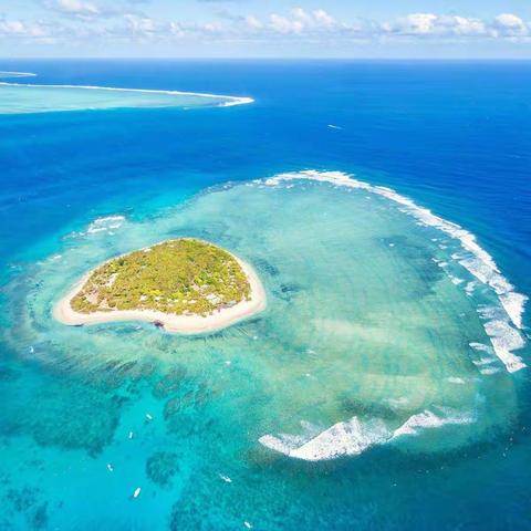 市农协总会在东辛店帮扶中