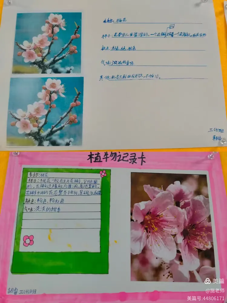 连续七天观察一个植物(连续七天观察一个植物100字)