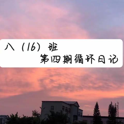 八（16）班第四期循环日记