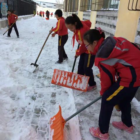 认真的大雪，认真的你们！