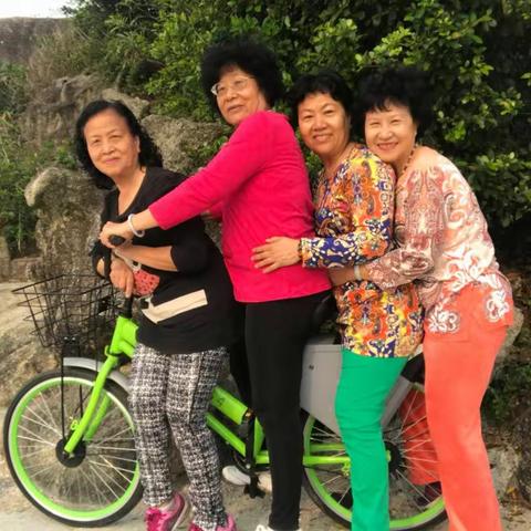 四朵梅阳春三月踏青忙