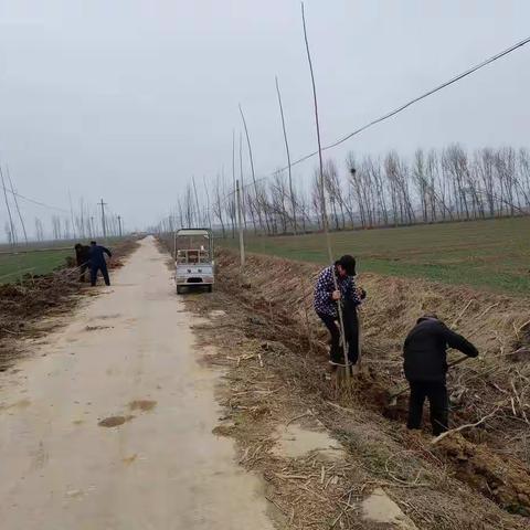 “栽树修苗”，柏香镇为人居环境整治“绿起来”造势