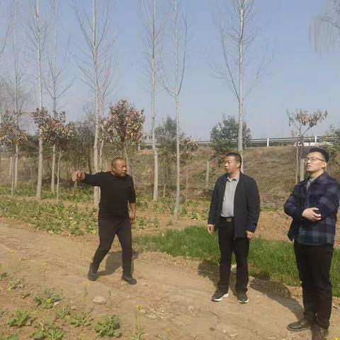 保质保量，柏香着力打造高速沿线环境卫生“一眼绿”