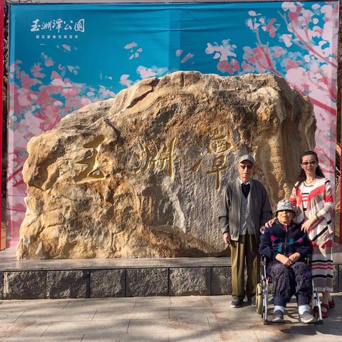 陪父母玉渊潭公园赏晚樱