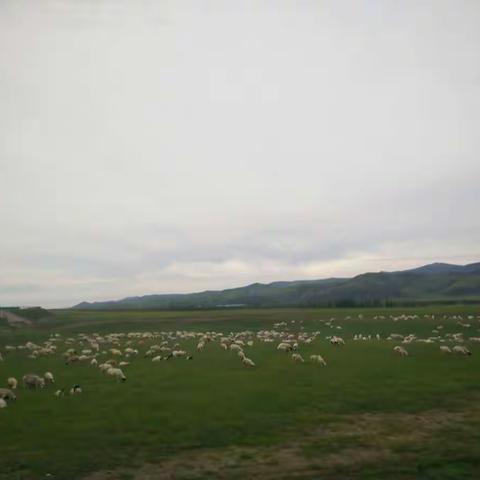 回忆青春，友谊常在！