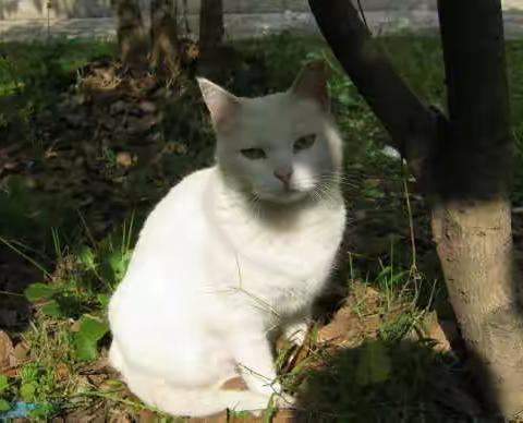 小黄黄  你在哪里