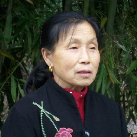 我的母亲