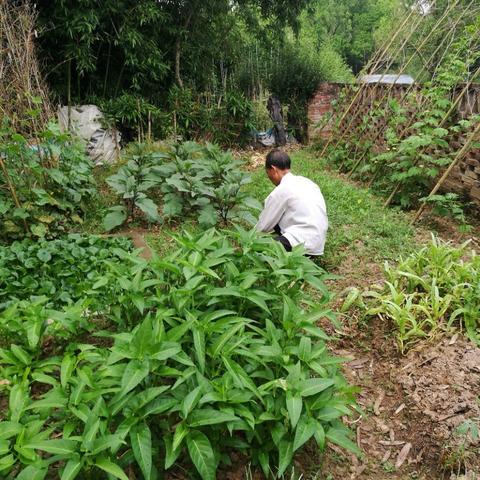 我的父亲