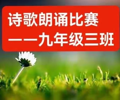 用诗歌为生命插上翅膀——九年级三班诗歌朗诵比赛掠影