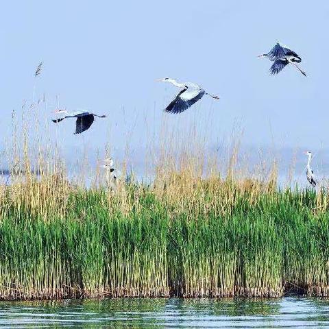 爱你，塞北江南     文/郭二富