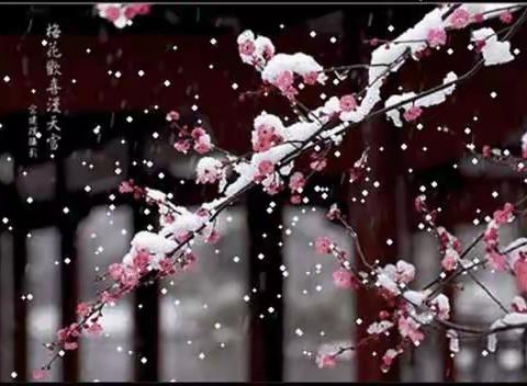 雪舞梅开盼归人    文/郭二富