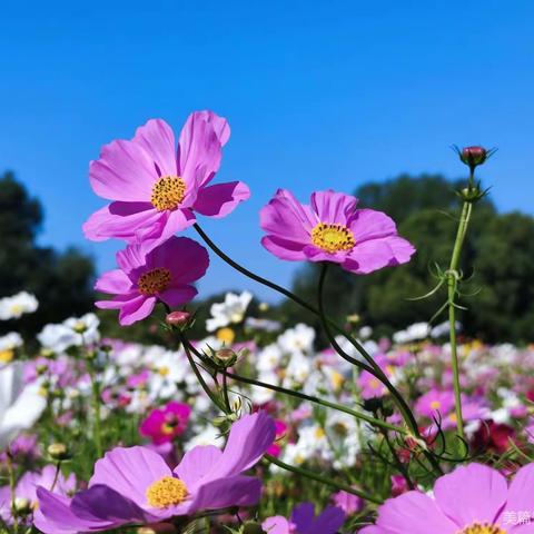 风雨中踏歌且行     文/郭二富