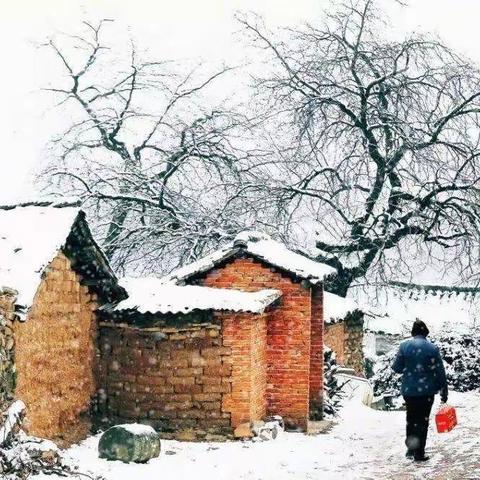 又见雪花飘     文/郭二富