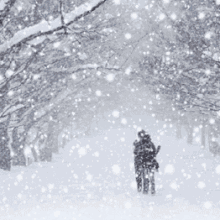 鹧鸪天.雪        文/郭二富