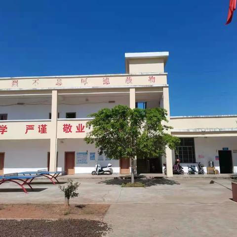 腹有诗书气自华，最是书香能致远——正平镇新黄小学书香校园活动剪影