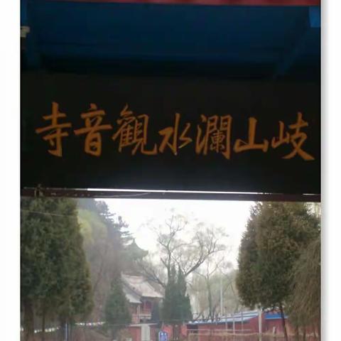 游荡在蓟县 春之际 与您相遇