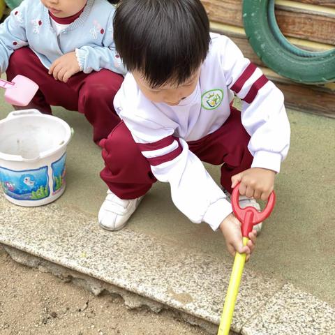 沙池寻宝——外国语附属幼儿园芽芽B班👫