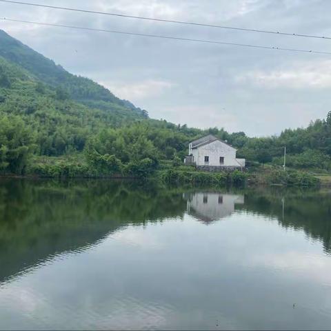 青山小聚乐逍遥