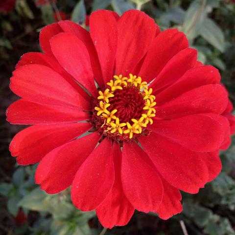 余生，要和正能量的你一起走