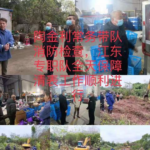 12月5日江东专职队工作日志